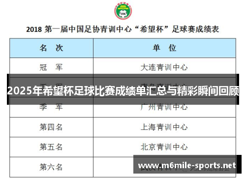 2025年希望杯足球比赛成绩单汇总与精彩瞬间回顾